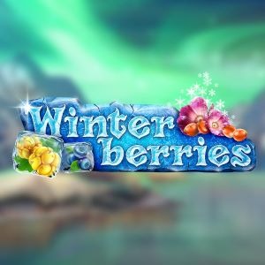 Winter Berries